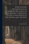 George Ormerod - Strigulensia, Archæological Memoirs Relating to the District Adjacent to the Confluence of the Severn and the Wye
