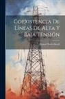 Manuel Marín Bonell - Coexistencia De Líneas De Alta Y Baja Tensión