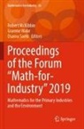 Robert McKibbin, Osamu Saeki, Graeme Wake - Proceedings of the Forum "Math-for-Industry" 2019