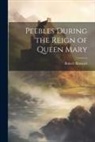 Robert Renwick - Peebles During the Reign of Queen Mary