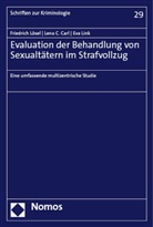 Lena C Carl, Lena C. Carl, Eva Link, Friedrich Lösel - Evaluation der Behandlung von Sexualtätern im Strafvollzug