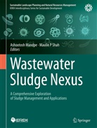Ashootosh Mandpe, P Shah, Maulin P Shah - Wastewater Sludge Nexus
