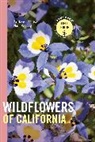 California Native Plant Society, California Native Plant Society (COR), California Native Plant Society - Wildflowers of California