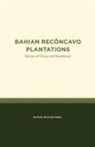 Doriane Andrade Meyer - Bahian Reconcavo Plantations