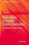 N Jayaram, N. Jayaram - From Indians in Trinidad to Indo-Trinidadians
