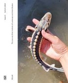 Christina Gruber, Luiza Prado de O Martins, Reisin, Frikech, Sara Frikech, Johanna Just - DELUS. The Journal of the Institute of Landscape and Urban Studies