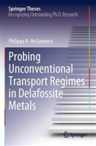 Philippa H McGuinness, Philippa H. McGuinness - Probing Unconventional Transport Regimes in Delafossite Metals