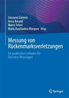 Maria Auxiliadora Marquez, Anna Berardi, Giovanni Galeoto, Marco Tofani, Marco Tofani u a - Messung von Rückenmarksverletzungen