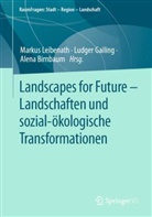 Alena Birnbaum, Ludger Gailing, Markus Leibenath - Landscapes for Future - Landschaften und sozial-ökologische Transformationen