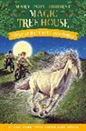AG Ford, Mary Pope Osborne - Windy Night with Wild Horses