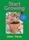 Daisy Payne, Payne Daisy - Start Growing