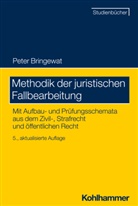Peter Bringewat - Methodik der juristischen Fallbearbeitung