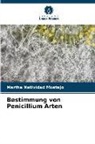 Martha Natividad Mostajo - Bestimmung von Penicillium Arten