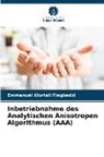 Emmanuel Worlali Fiagbedzi - Inbetriebnahme des Analytischen Anisotropen Algorithmus (AAA)