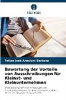 Felipe José Ansaloni Barbosa - Bewertung der Vorteile von Ausschreibungen für Kleinst- und Kleinunternehmen