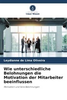 Leydianne de Lima Oliveira - Wie unterschiedliche Belohnungen die Motivation der Mitarbeiter beeinflussen