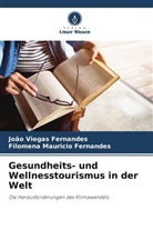 Filomen Mauricio Fernandes, Filomena Mauricio Fernandes, João Viegas Fernandes - Gesundheits- und Wellnesstourismus in der Welt