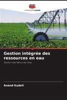 Anand Kudoli - Gestion intégrée des ressources en eau