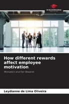 Leydianne de Lima Oliveira - How different rewards affect employee motivation