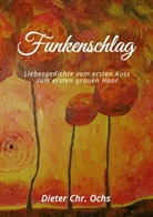Dieter Christian Ochs - Funkenschlag