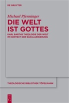 Michael Pfenninger - Die Welt ist Gottes