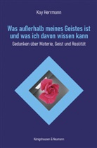 Kay Herrmann - Was außerhalb meines Geistes ist und was ich davon wissen kann