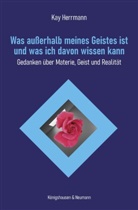 Kay Herrmann - Was außerhalb meines Geistes ist und was ich davon wissen kann