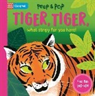 Campbell Books, Malgorzata Detner - Tiger, Tiger, What Stripy Fur You Have!