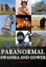 Mark Rees - Paranormal Swansea and Gower