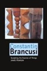 James Pearson - Constantin Brancusi