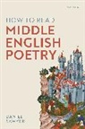 Sawyer, Daniel Sawyer, Daniel (Departmental Lecturer in English L Sawyer, Daniel (Departmental Lecturer in English Literature and Manuscript Studies Sawyer - How to Read Middle English Poetry