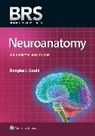 Douglas Gould, Douglas J. Gould, Dr. Douglas J. Gould - BRS Neuroanatomy