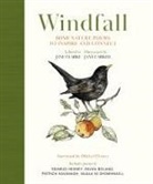 Jane Clarke, Jane Carkill - Windfall