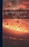 Charles Dixon - British Sea Birds