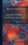 Addison Emery Verrill - Bulletins From the Laboratories of Natural History
