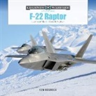 Ken Neubeck - F-22 Raptor