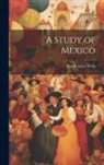 David Ames Wells - A Study of Mexico