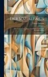 Victor Cathrein - Der Sozialismus: Eine Untersuchung Seiner Grundlagen und Seiner Durchführbarkeit