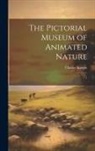 Charles Knight - The Pictorial Museum of Animated Nature: 1