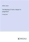 William James - The Meaning of Truth; A Sequel To pragmatism