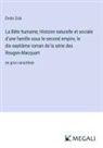 Émile Zola - La Bête humaine; Histoire naturelle et sociale d'une famille sous le second empire, le dix-septième roman de la série des Rougon-Macquart