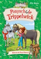 Ellie Mattes, Larisa Lauber - Ponyschule Trippelwick - Hörst du die Ponys flüstern?