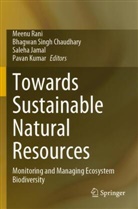 Bhagwan Singh Chaudhary, Saleha Jamal, Saleha Jamal et al, Pavan Kumar, Meenu Rani, Bhagwan Singh Chaudhary - Towards Sustainable Natural Resources