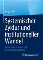 Josip Lu¿ev, Josip Lucev - Systemischer Zyklus und institutioneller Wandel
