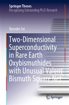 Ryosuke Sei - Two-Dimensional Superconductivity in Rare Earth Oxybismuthides with Unusual Valent Bismuth Square Net