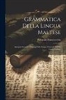 Fortunato Panzavecchia - Grammatica Della Lingua Maltese: Spiegata Secondo I Principj Delle Lingue Orientali E Della Lingua Italiana