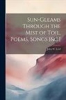John W. Lyall - Sun-Gleams Through the Mist of Toil, Poems, Songs [&c.]