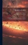 Alfred Edmund Brehm, Henry Matthew Labouchere - Bird-Life: Being a History of the Bird, Its Structure, and Habits, Together With Sketches of Fifty Different Species
