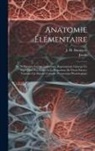 J. M. Bourgery, Jacob - Anatomie Élémentaire: En 20 Planches Format Colombier, Représentant Chacun Un Sujet Dans Son Entier À La Proportion De Demi-nature, Formant
