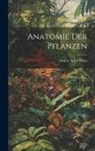 Gustav Adolf Weiss - Anatomie Der Pflanzen